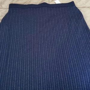 NWT Ann Taylor Blue & White Pinstripe Sheath Skirt
